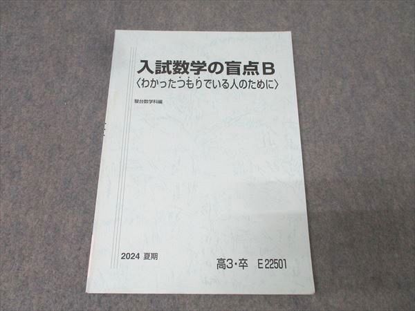 【駿台】入試数学の盲点B小林 駿台 入試数学の盲点B〈わかったつもりでいる人のために〉 テキスト
