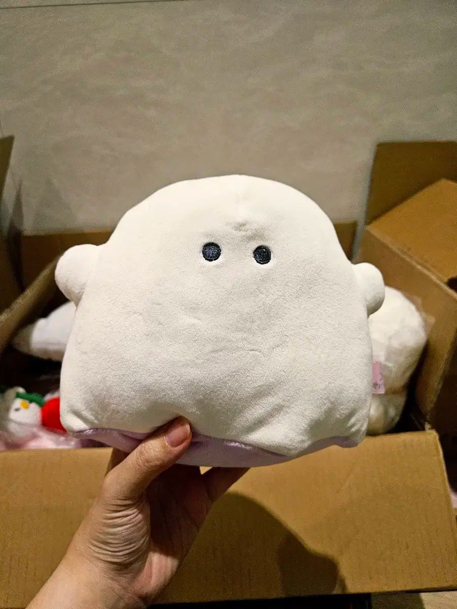 超貴重 ズーム・アップ 望月あきら カメラマスコミ写真 少年 レア