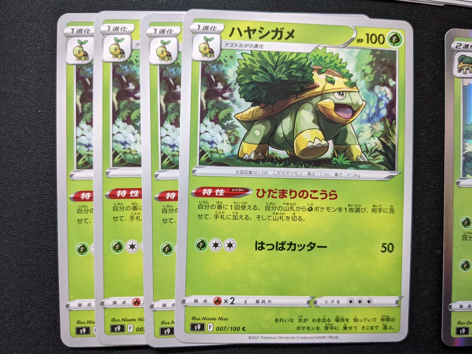 ポケモンカードゲーム S9 ナエトル ハヤシガメ ドダイトス - メルカリ
