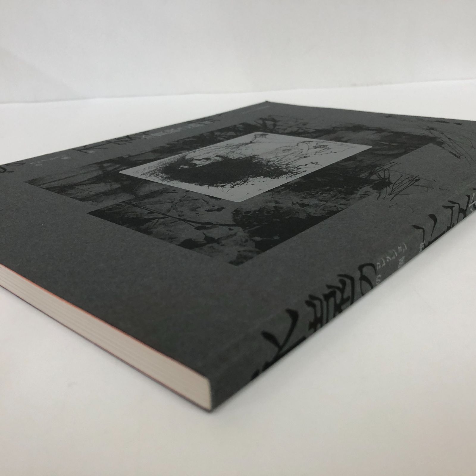 C]図録 永遠の不安を描く コレクションの異境 小貫政之助展 - メルカリ