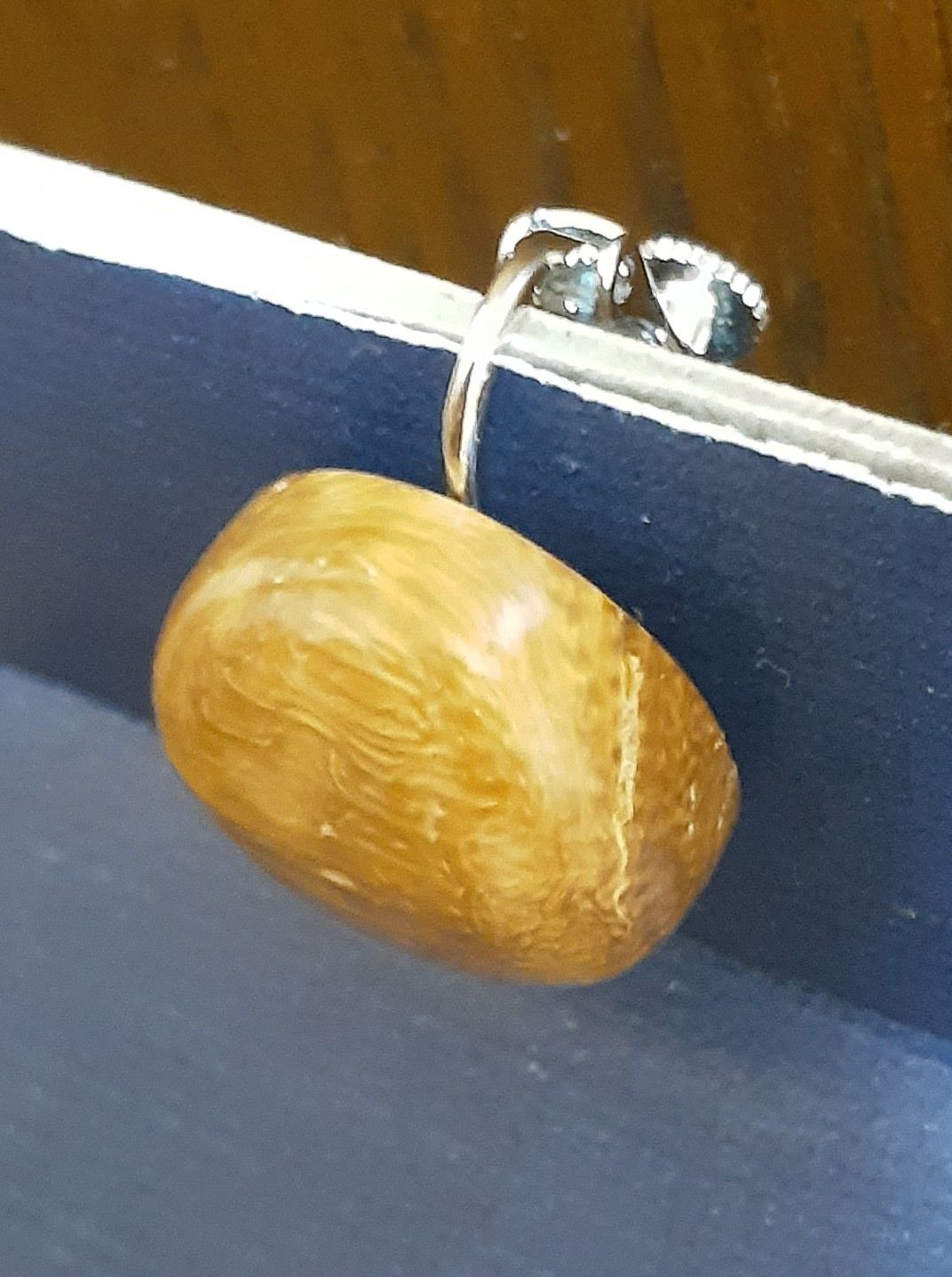 389.世界にひとつだけ！青珊瑚(レインボーコーラル)のイヤリング 希少品 389.世界にひとつだけ！青珊瑚(レインボーコーラル)のイヤリング 希少