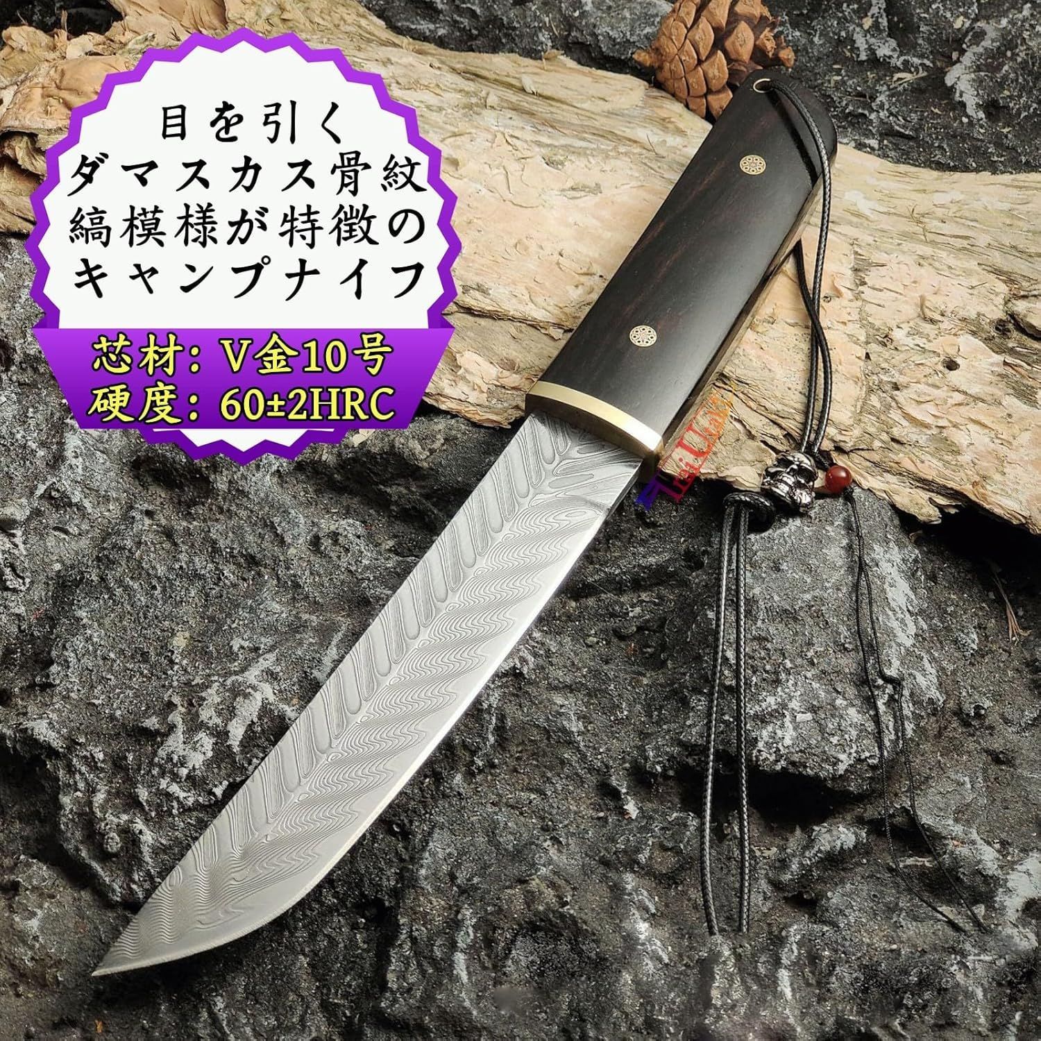 キャンプ