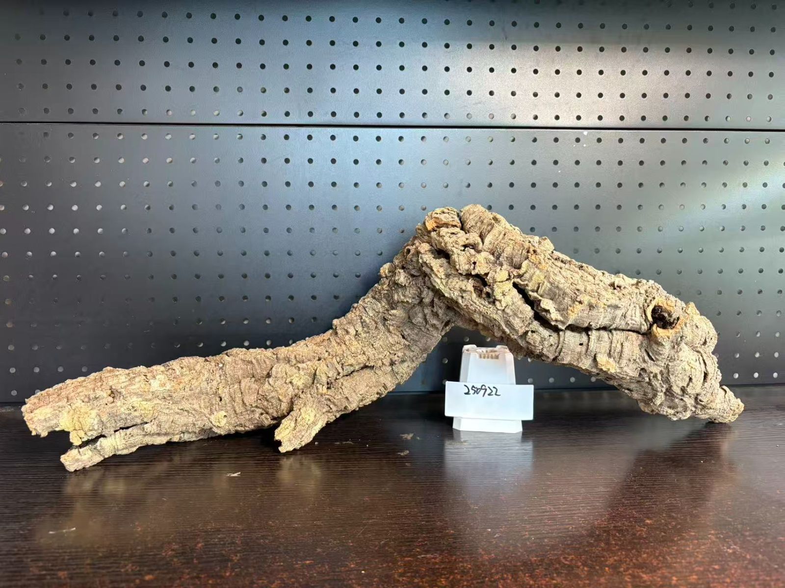 キャノンコルク