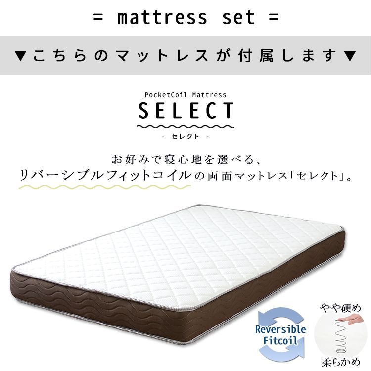 bed 8色展開