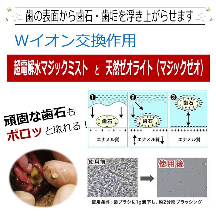 マジックミスト 犬の歯石