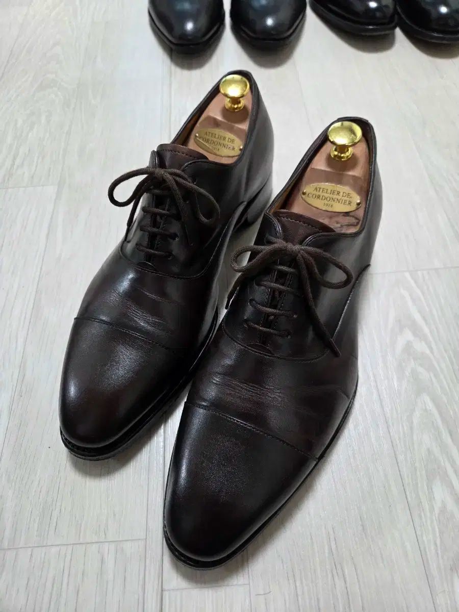 カルロス サントス 8627 ダークブラウン オックスフォード