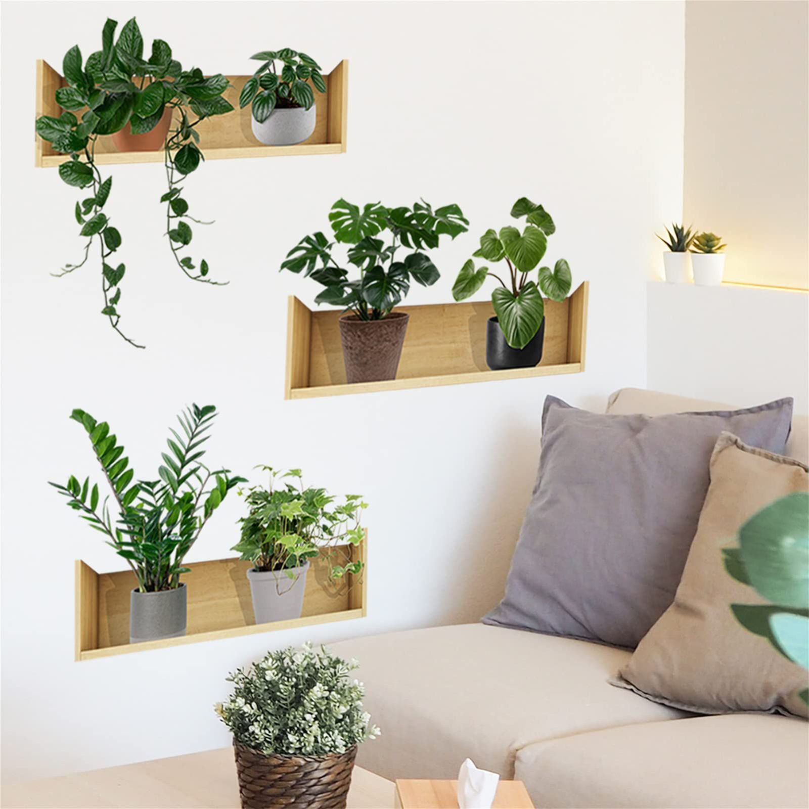 植物