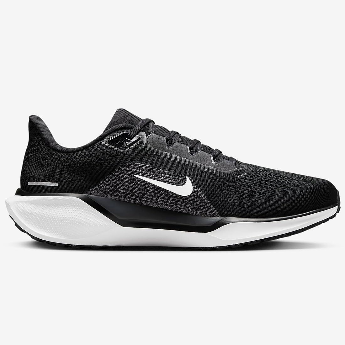 Pegasus 41