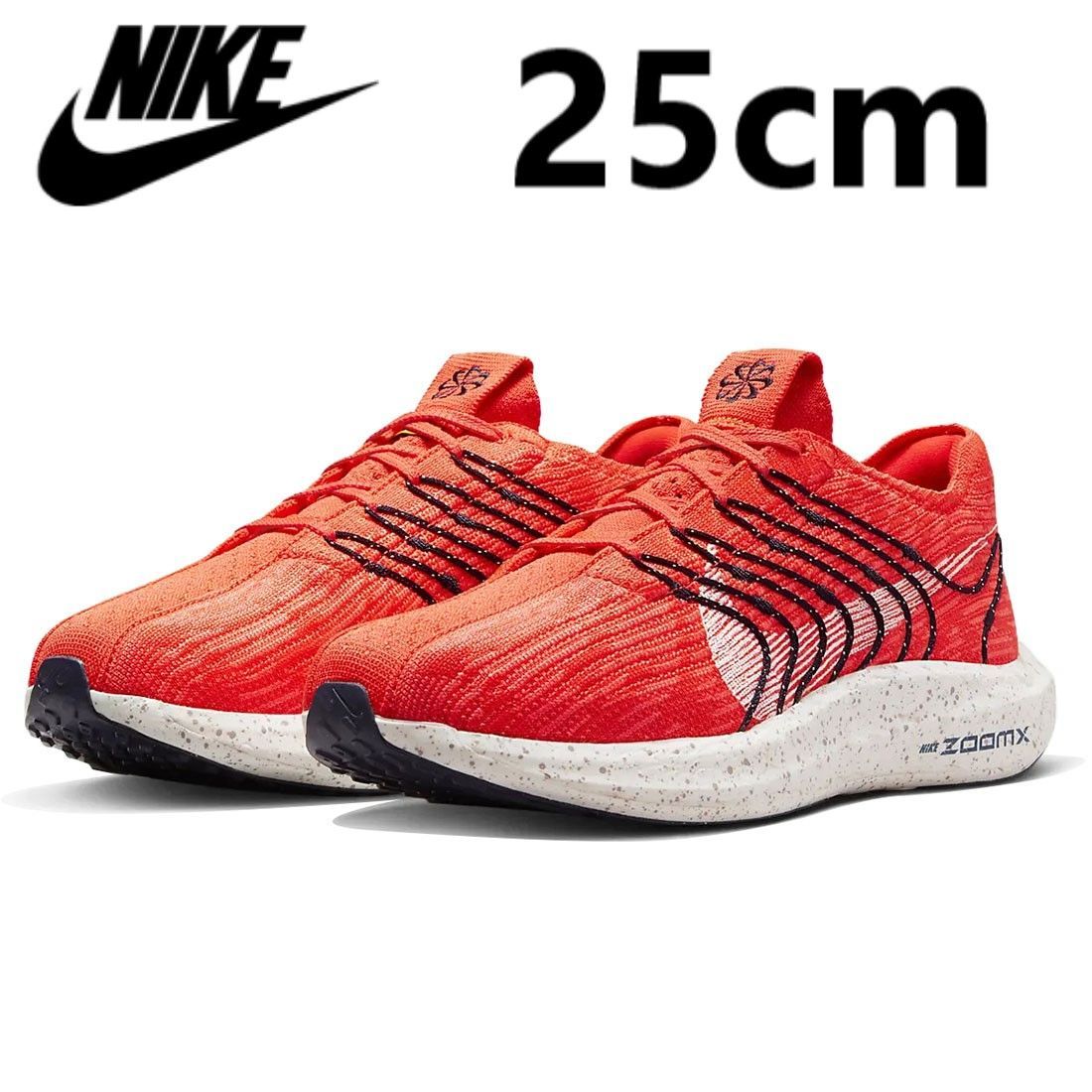 NIKE Pegasus Turbo NN ナイキ ペガサス ターボ ネクスト ネイチャー 