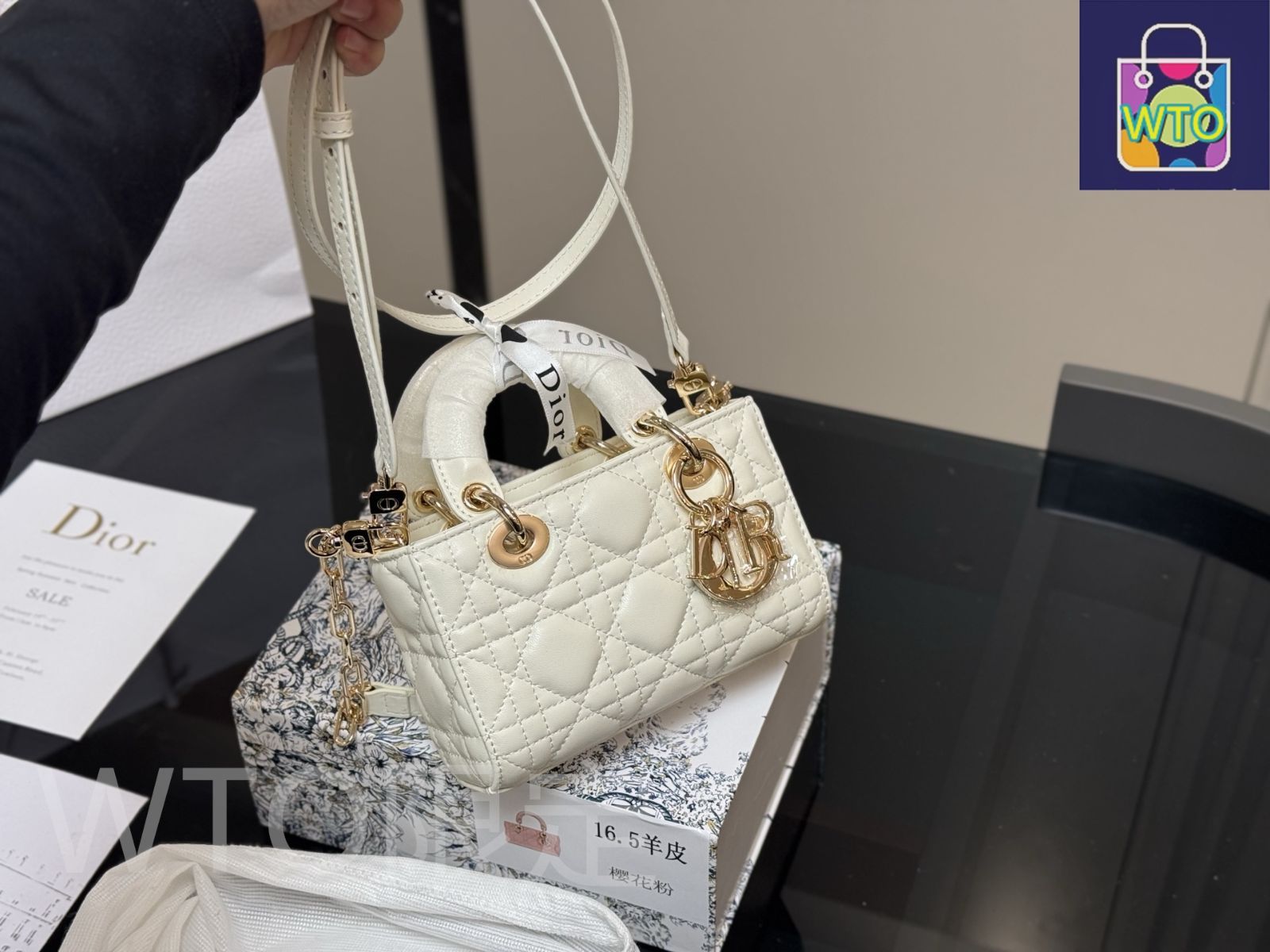 Dior Bag