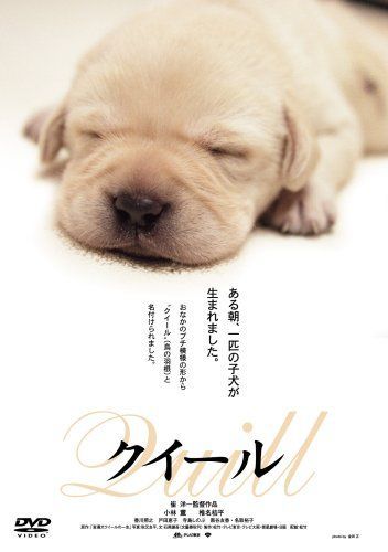 【】クイール [DVD]