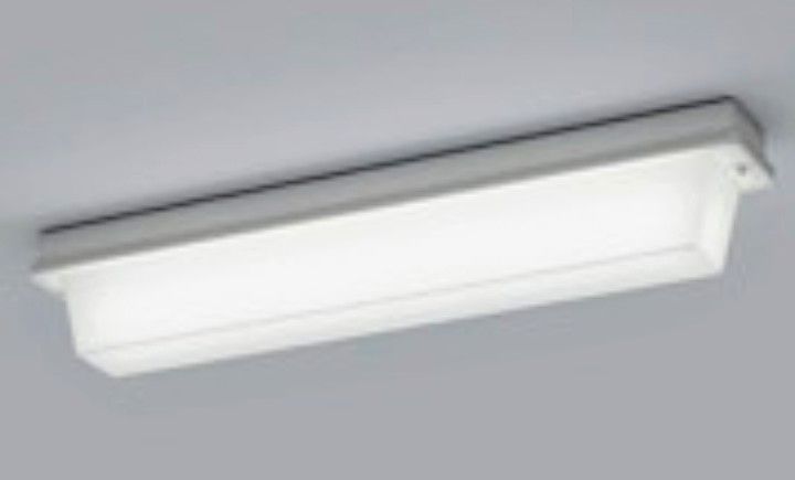 送料込】 オーデリック OG254894ND エクステリア LEDポーチライト FL15W相当 昼白色 非調光 防雨 防湿型 住宅の共用スペース 廊下  壁面 天井面 傾斜面取付兼用