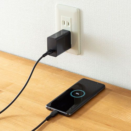 【赤字超特価,定番】 サンワサプライ USB PD対応AC充電器(PD45W・TypeCケーブル付き) ACA-PD80BK