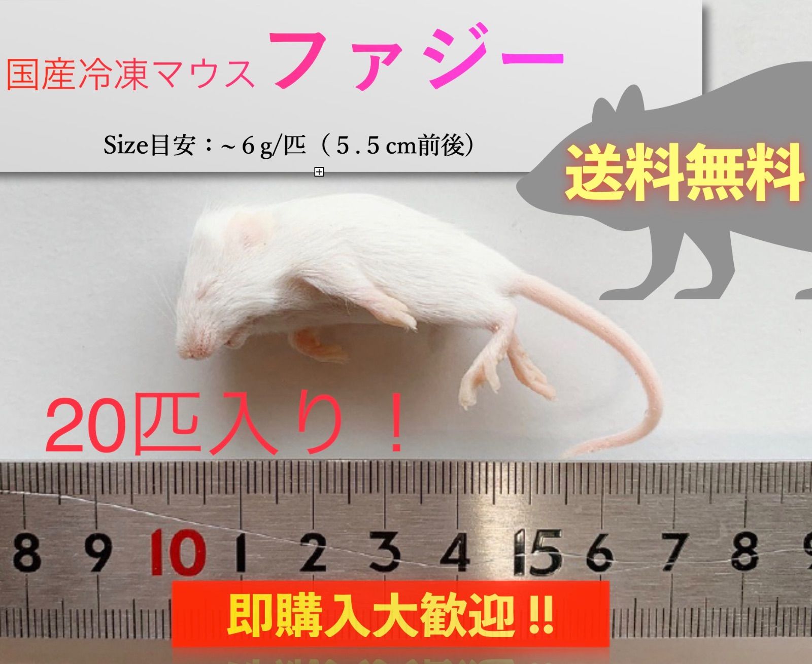 国産冷凍ファジーマウスＬ（7-10g）10匹セット-