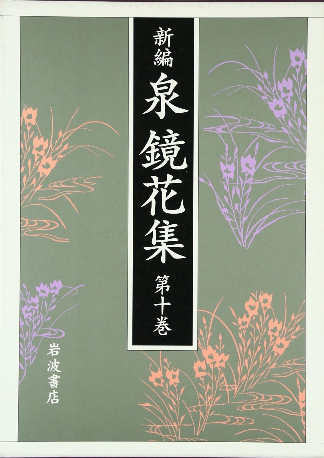 新編泉鏡花集 第10巻