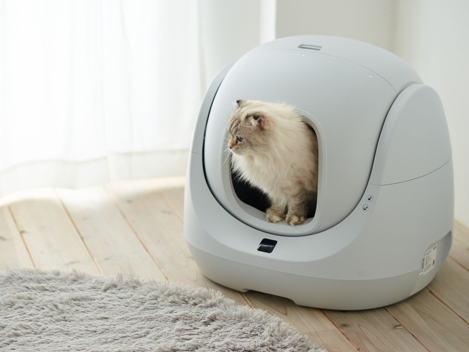 クーポン配布中!! 撮影サンプル品 CATLINK SCOOPER SE Lite 自動猫トイレ 猫トイレ ペットの排泄はございません クリーニング済み