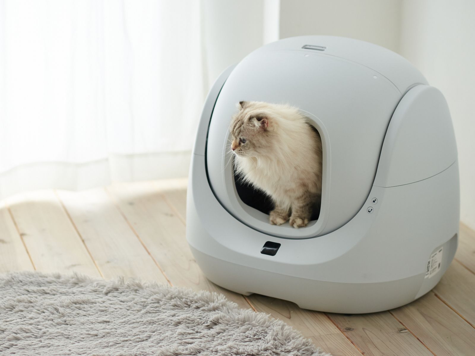 【撮影サンプル品】CATLINK SCOOPER SE Lite【自動猫トイレ 猫トイレ】※ペットの排泄はございません。クリーニング済み。