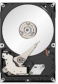 【】Seagate 2TB Desktop HDD SATA 6Gb/s 64MB Cache 3.5-Inch Internal Bare Drive (ST2000DM001) [並行輸入品]