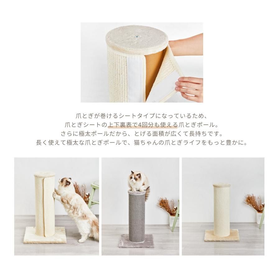 シート
