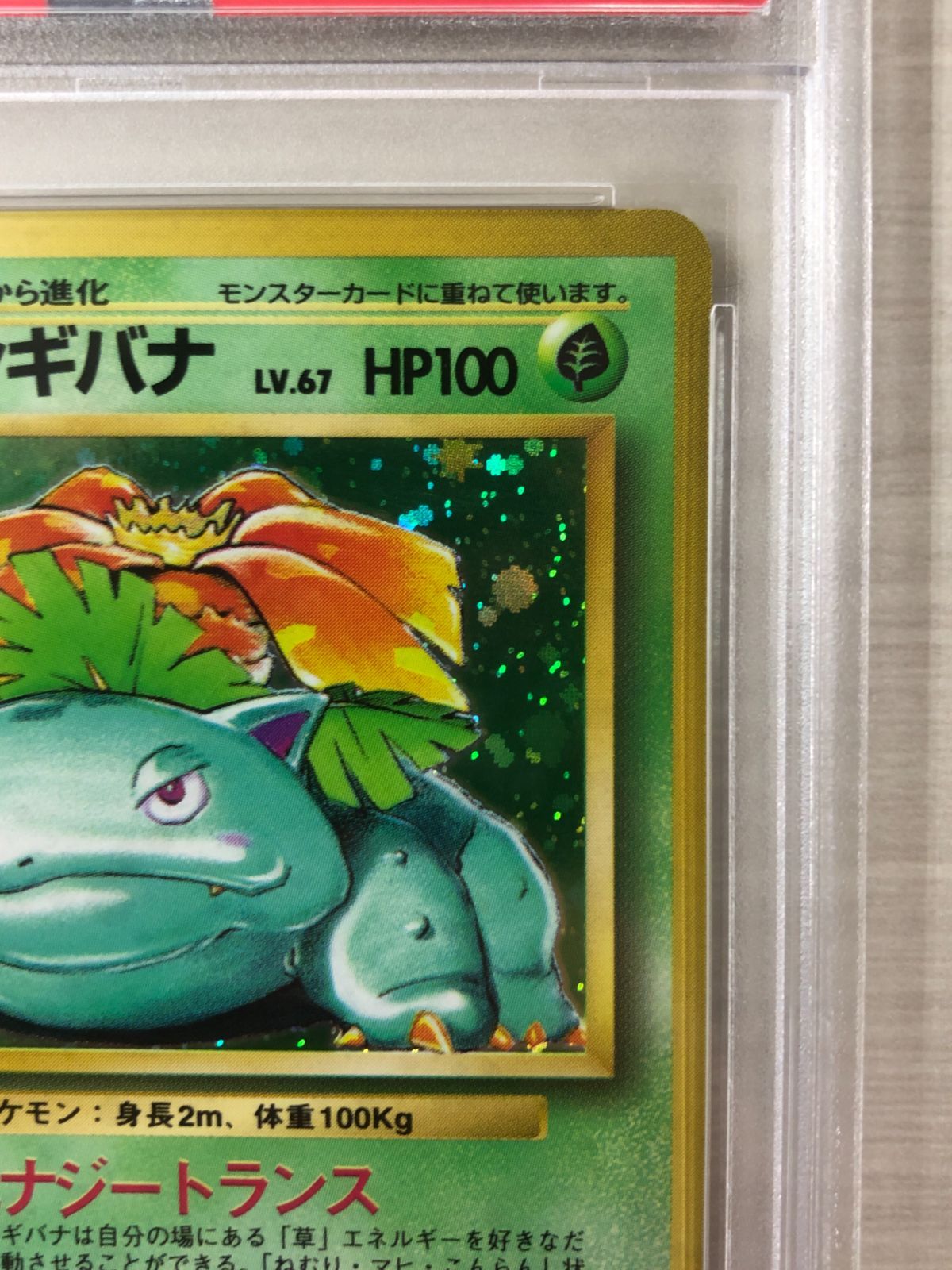 psa8 旧裏　フシギバナ PSA8 フシギバナ 旧裏 再販 第1弾拡張パック 3 1996 - メルカリ