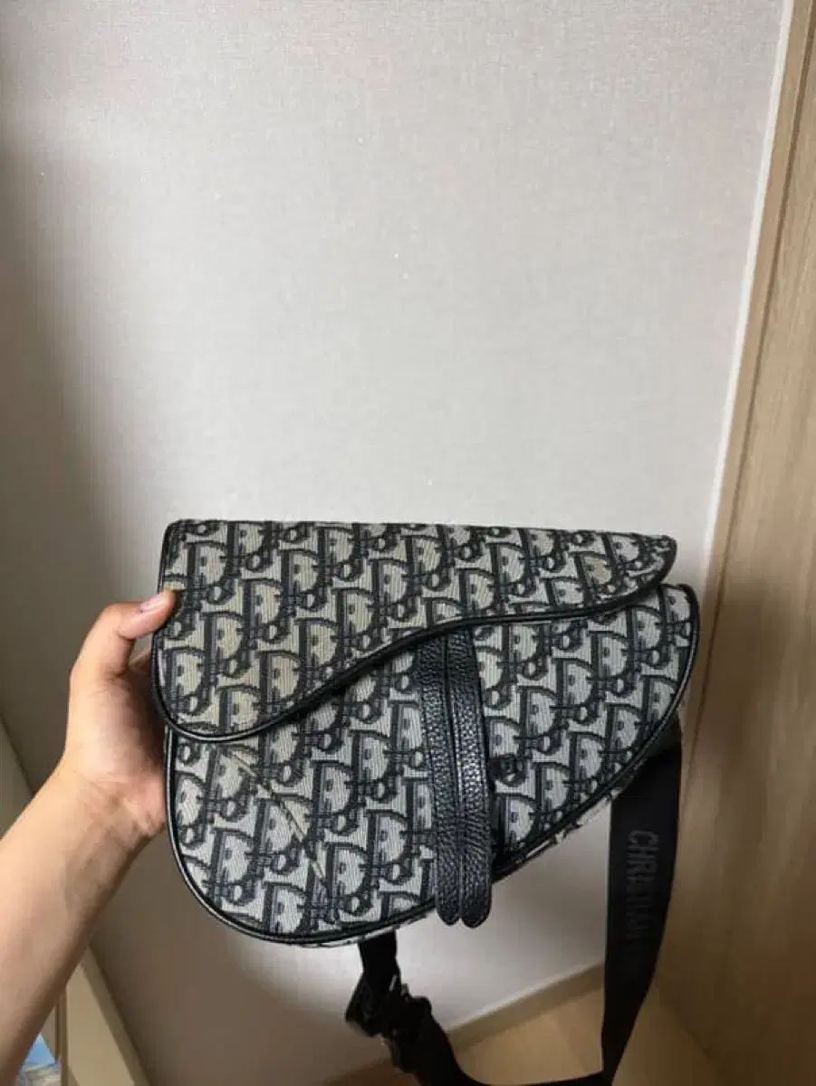 ディオール オブリーク サドルバッグ