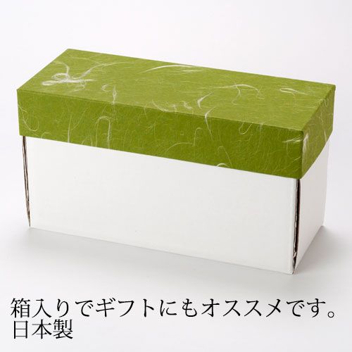 スス細長二段弁当箱