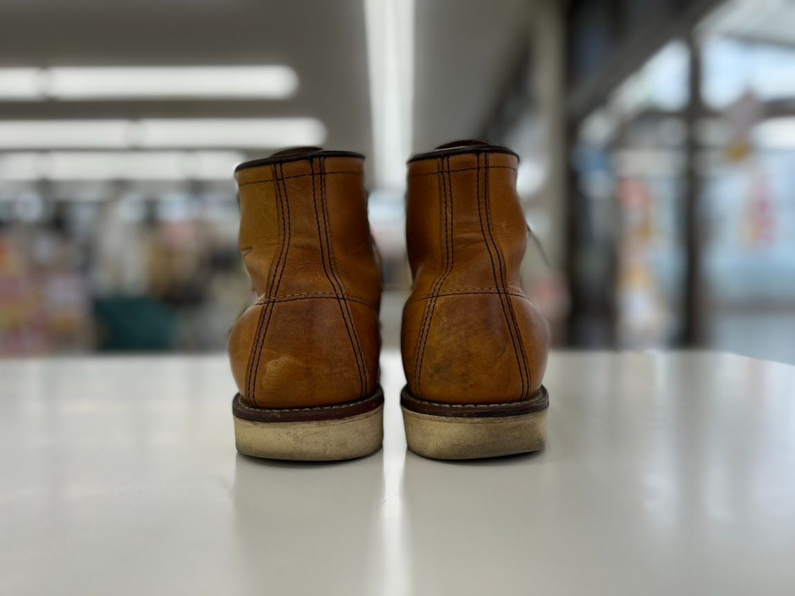 アイリッシュセッター