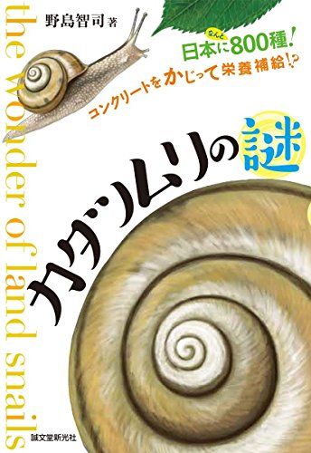 カタツムリの謎: 日本になんと800種! コンクリートをかじって栄養補給!?／野島 智司