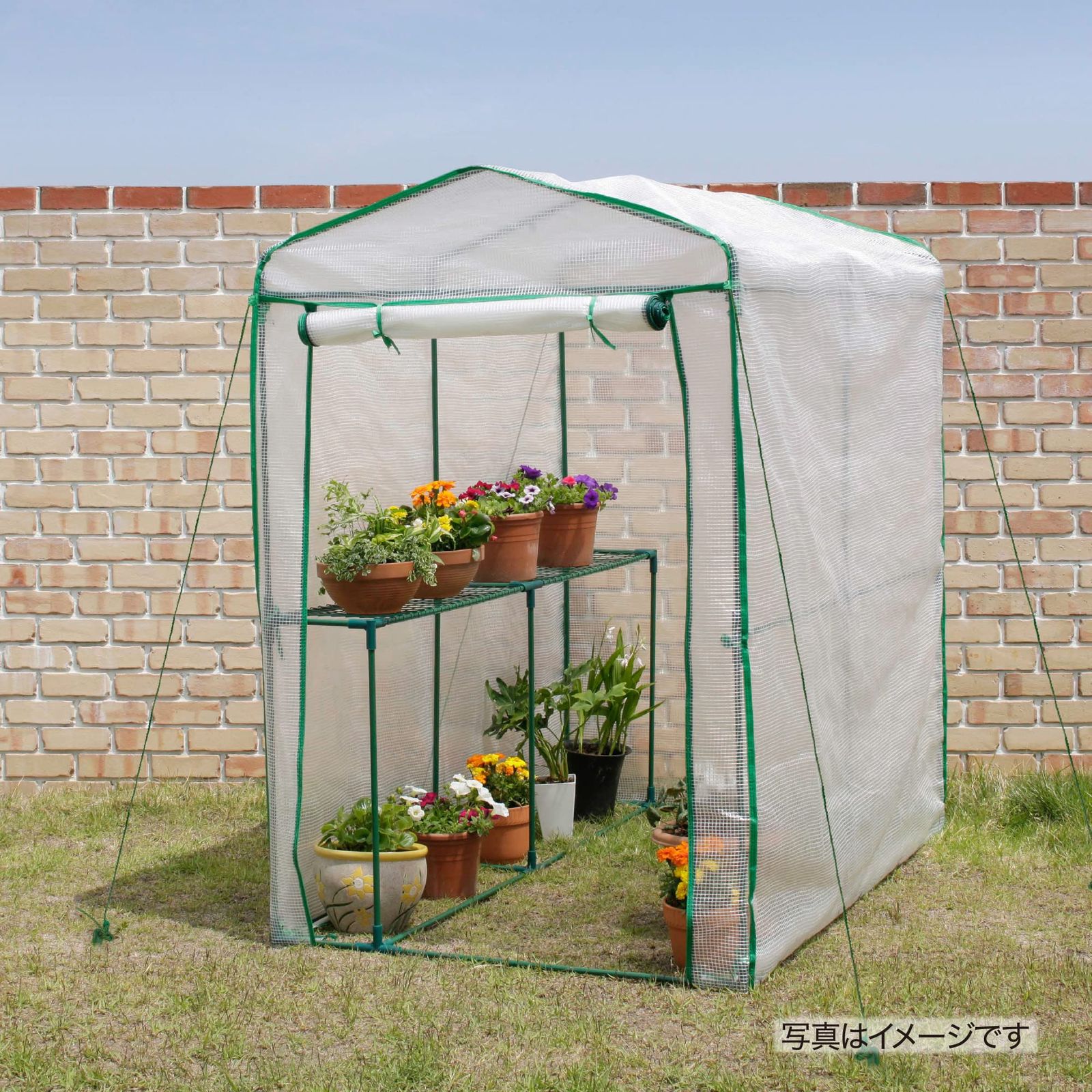タカショー ビニール温室 特大 幅122cm×奥行186cm×高さ190cm 棚付き 組立簡単 園芸 GRH-N06T