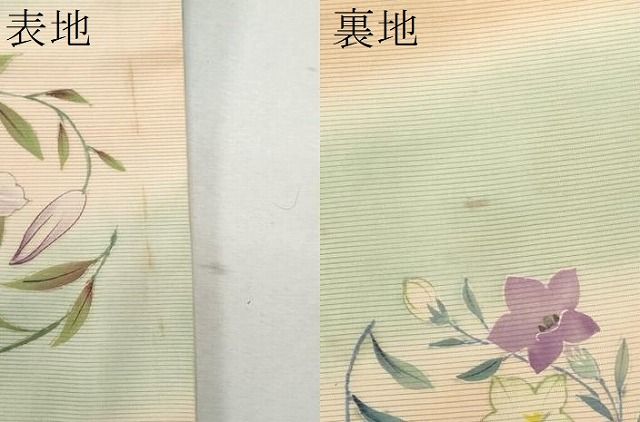 平和屋着物＊夏物 アンティーク 大正ロマン 丸帯 手描き 枝花文 正絹