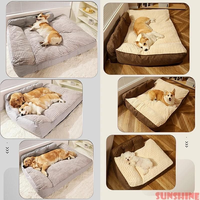 小型犬