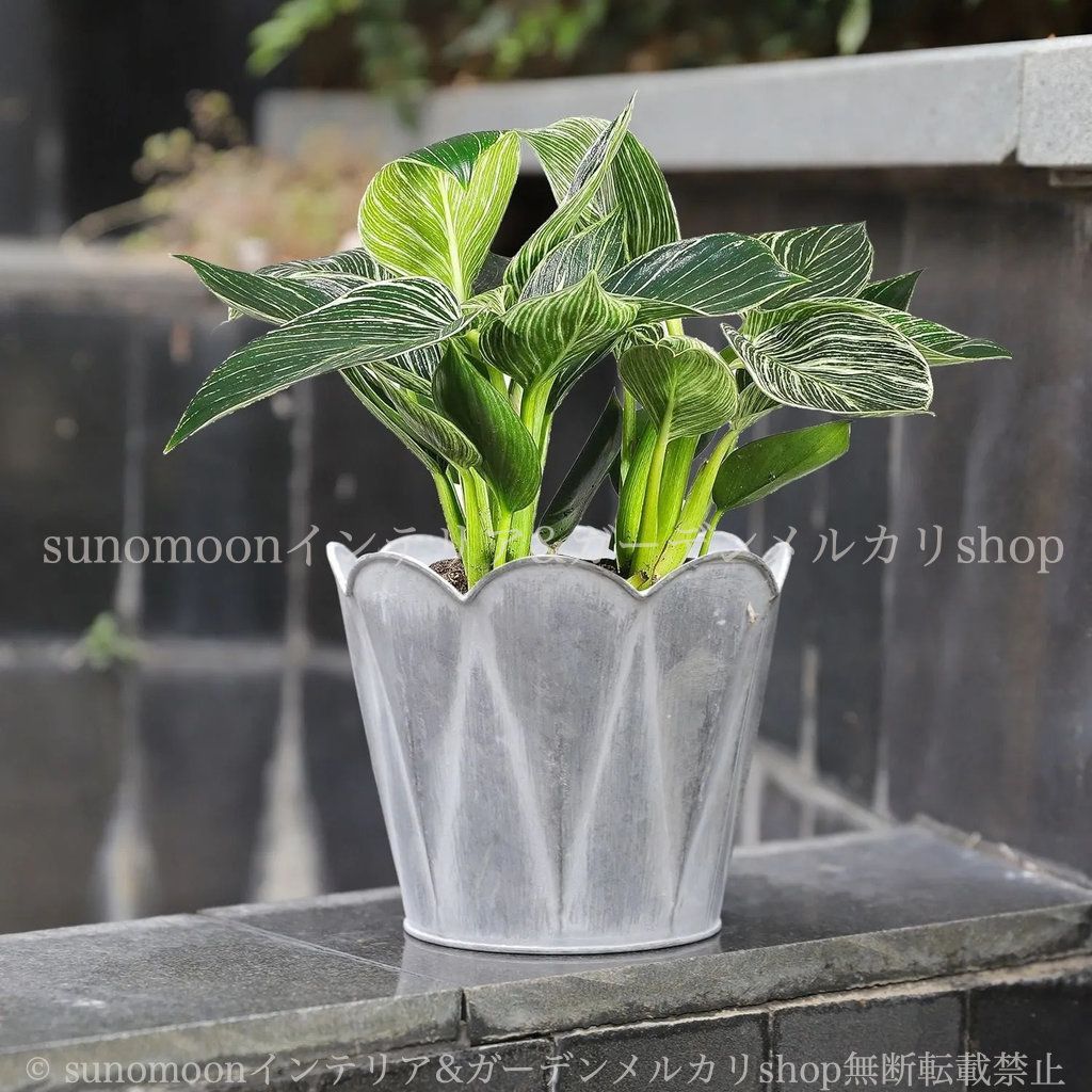 ガーデンインテリア サイズ違い