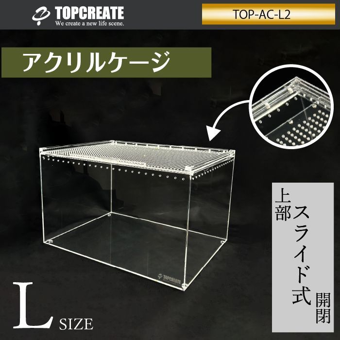 ワイドハイ