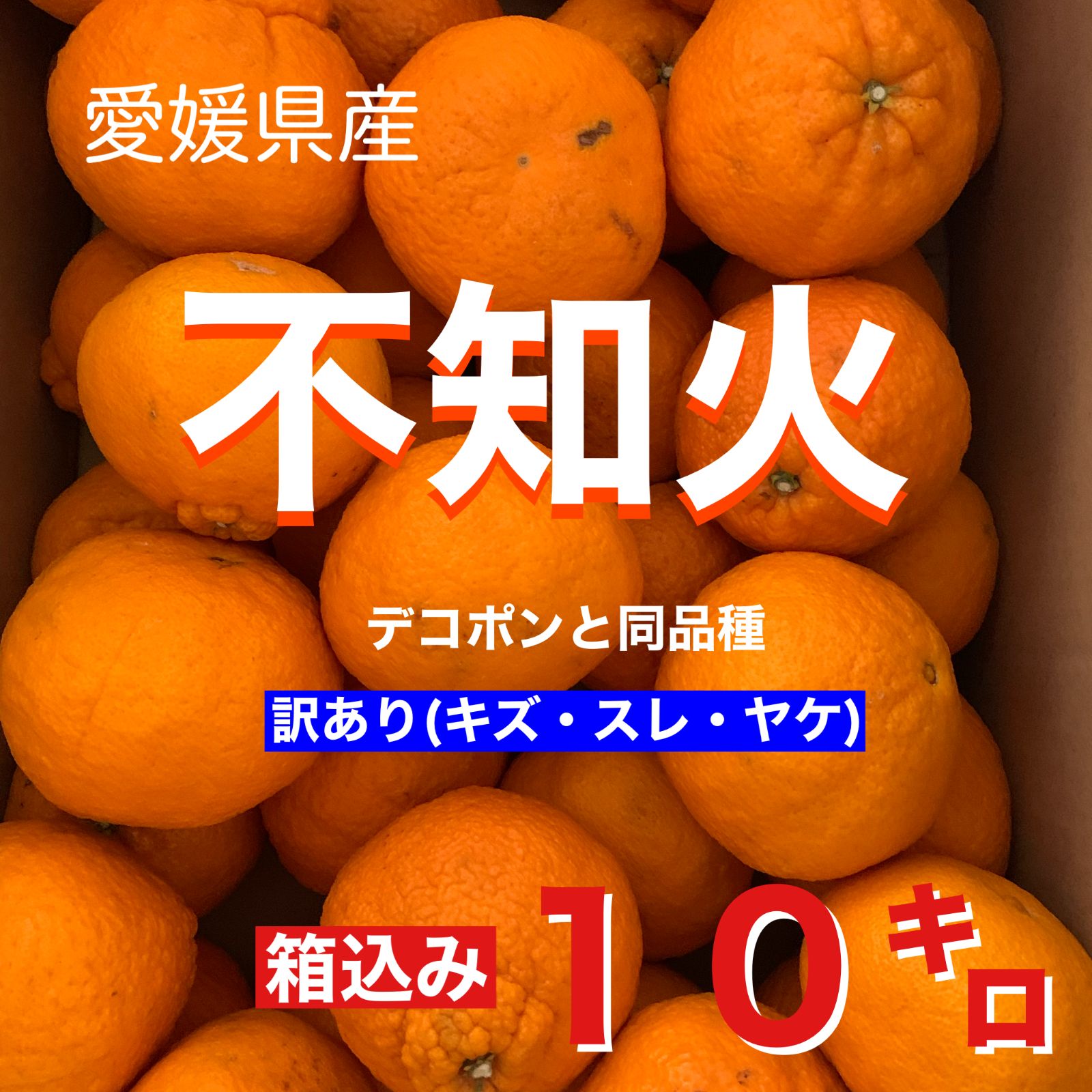 愛媛県産 不知火10キロ(デコポンと同品種)訳あり・ご家庭用 - メルカリ