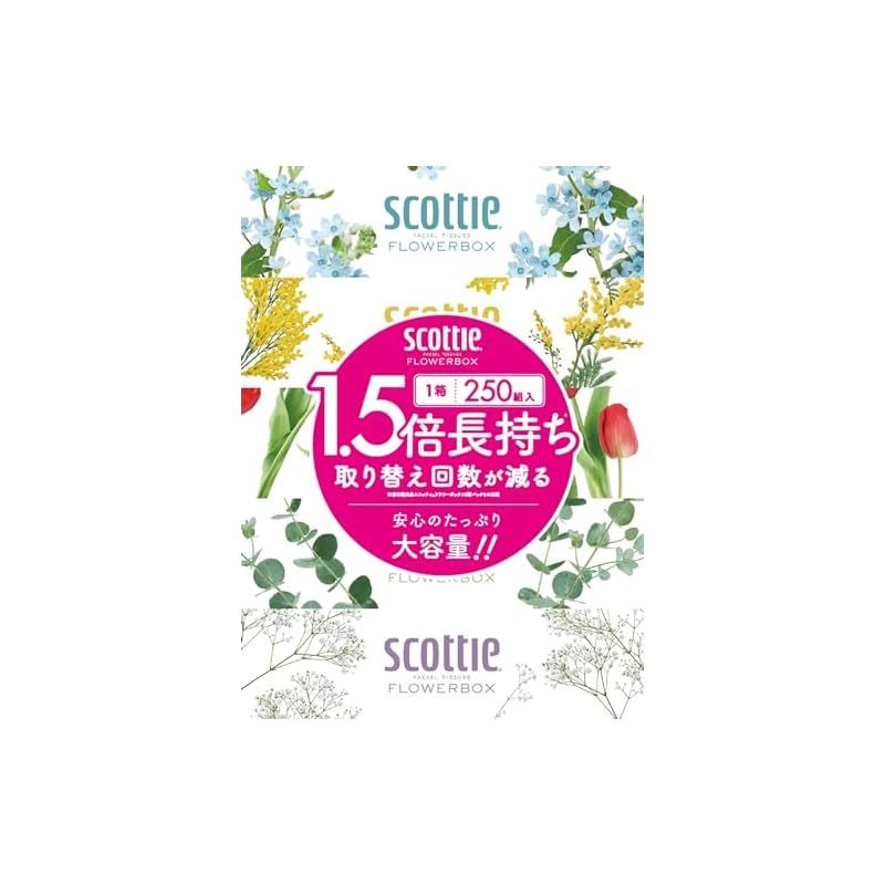 ティッシュ 長持ち 500枚 250組 60箱 スコッティ フラワーボックス ケース品