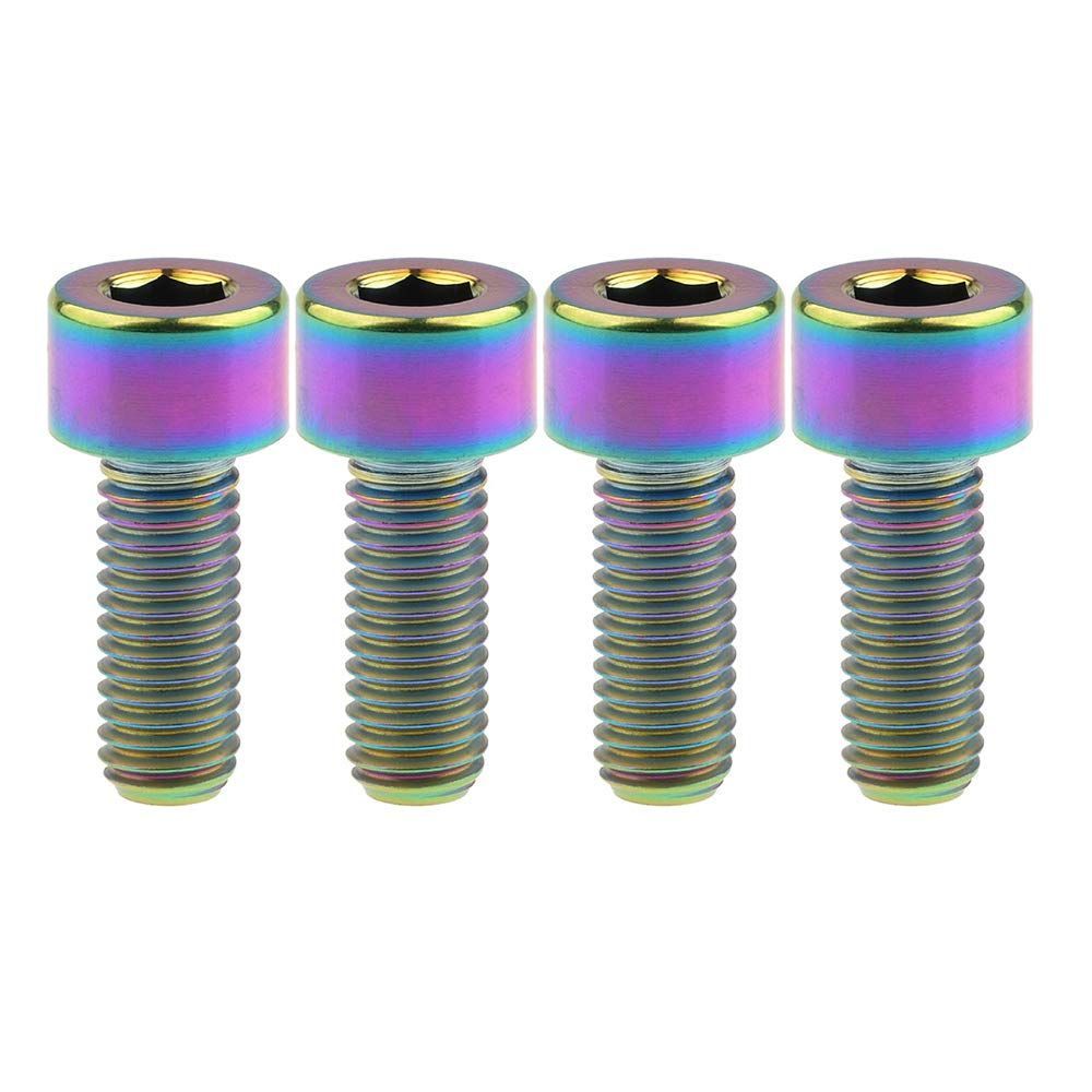 Size:M8x20mm_Color:でレインボー Ruifu M8x20 25 30 35 40 45 50 60 70 mm DIN912チタン合金 Grade 5 六角穴付きボルト・キャップボルト 4個入り (M8x20mm， でレインボー)