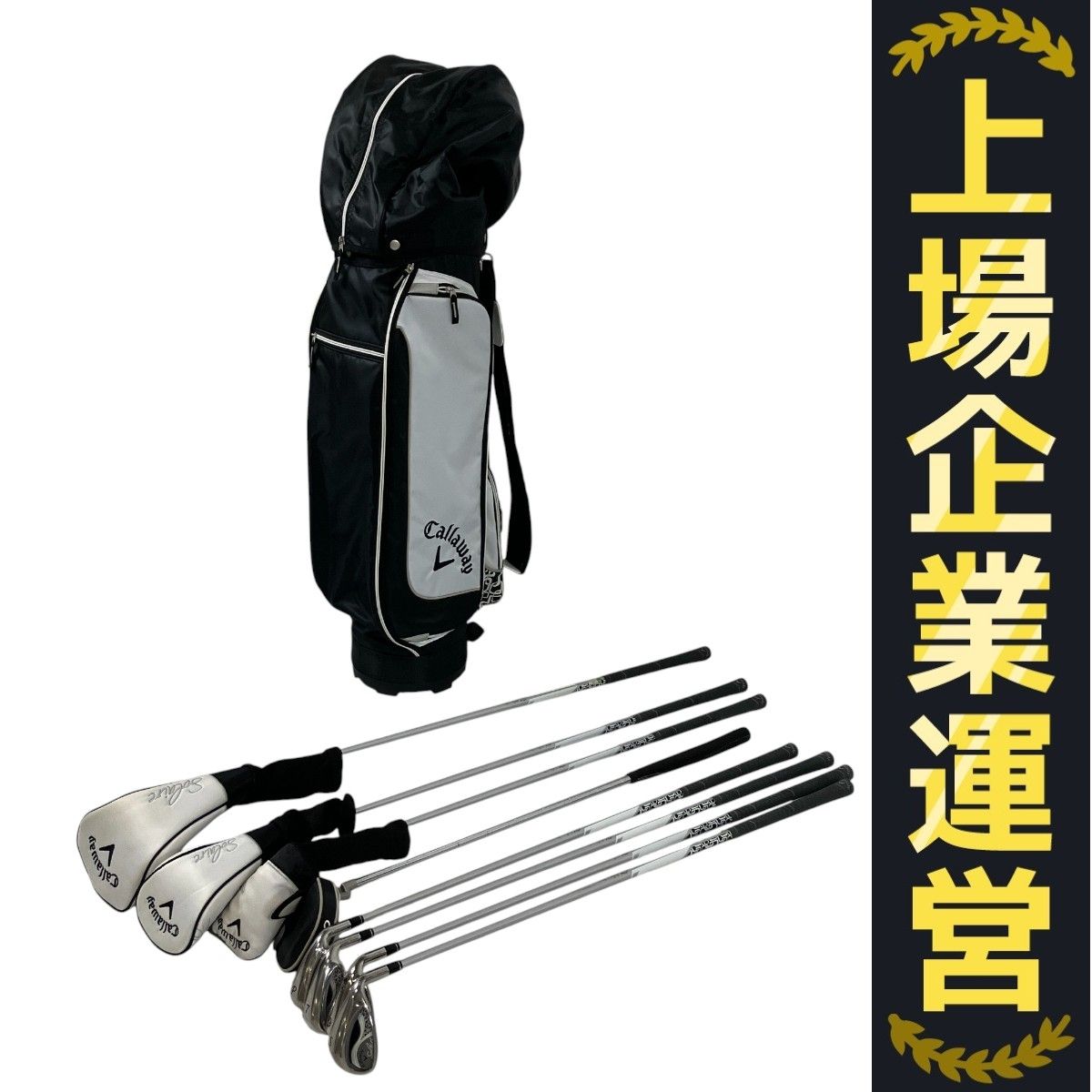 MIZUNO ミズノ Callaway キャロウェイ レディースゴルフ12本