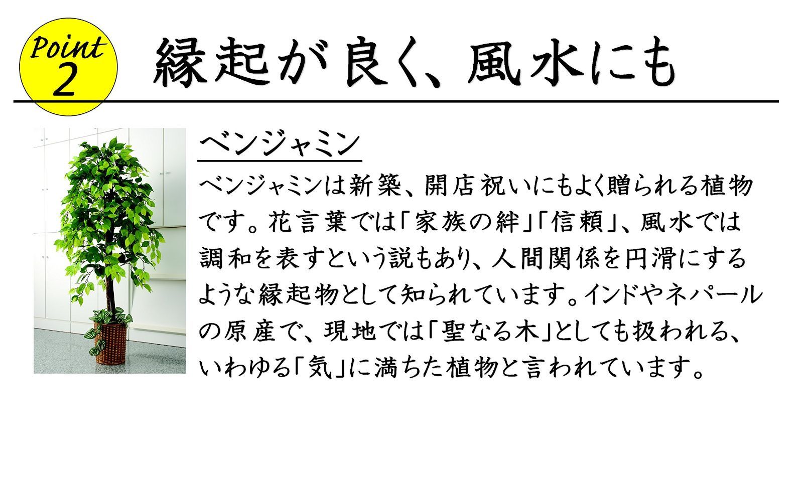 大型 竹カゴ付き