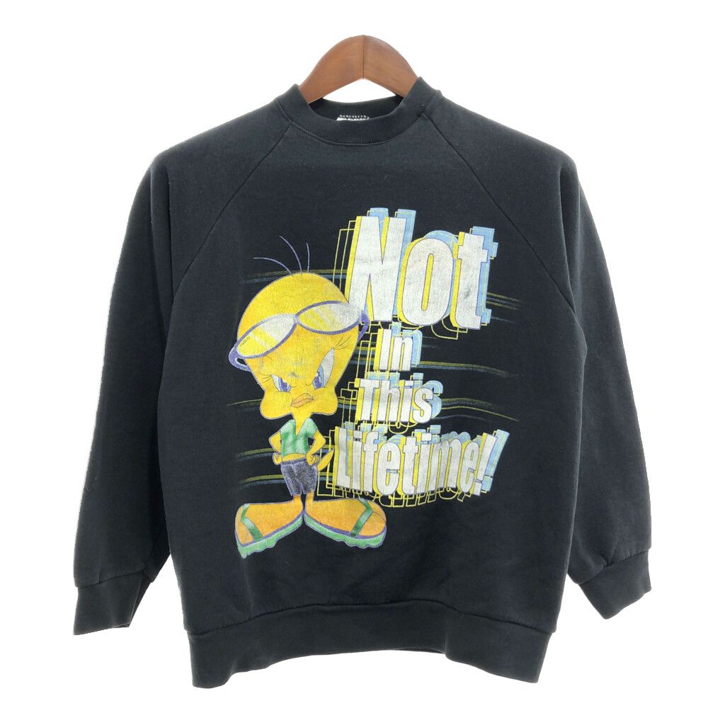FRUIT OF THE LOOM フルーツオブザルーム キャラクタープリント スウェット ワーナーブラザース ブラック (メンズ M) 中古 古着 P8178