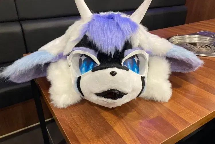 ファースーツ HEAD ヘッド