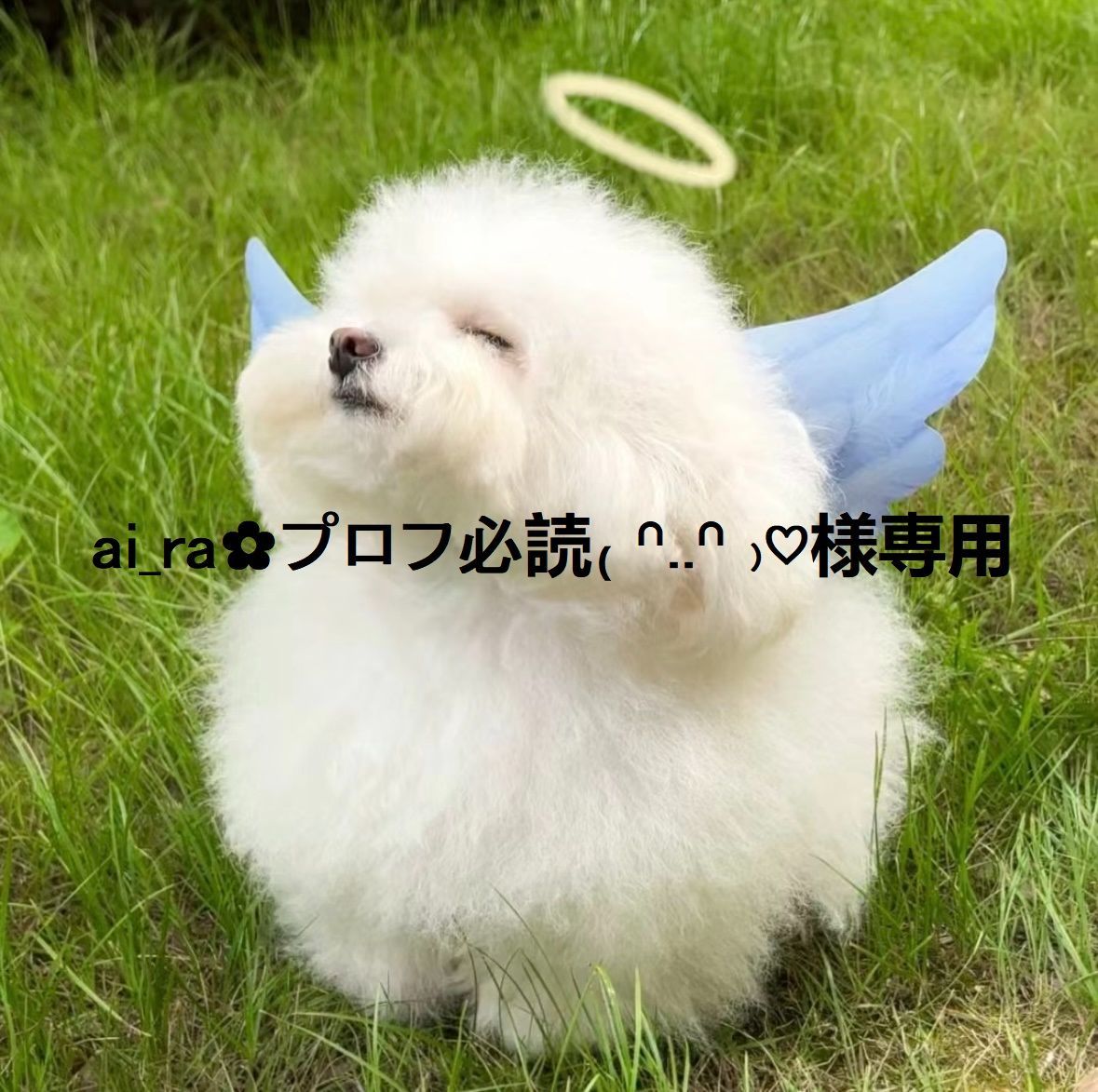 gonちゃん専用 ごんちゃん様専用 ごんちゃん様 オーダーページ ゴンちゃん