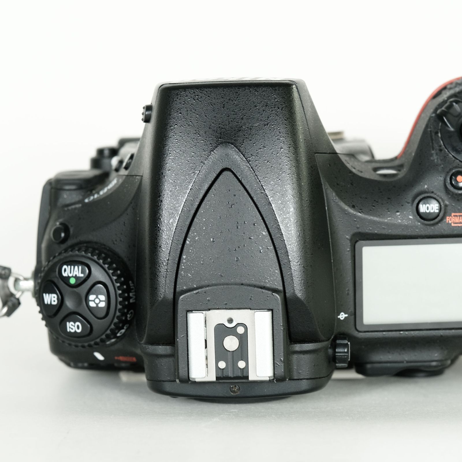 Nikon D810 シャッター2万回！ p000031308L.JPG