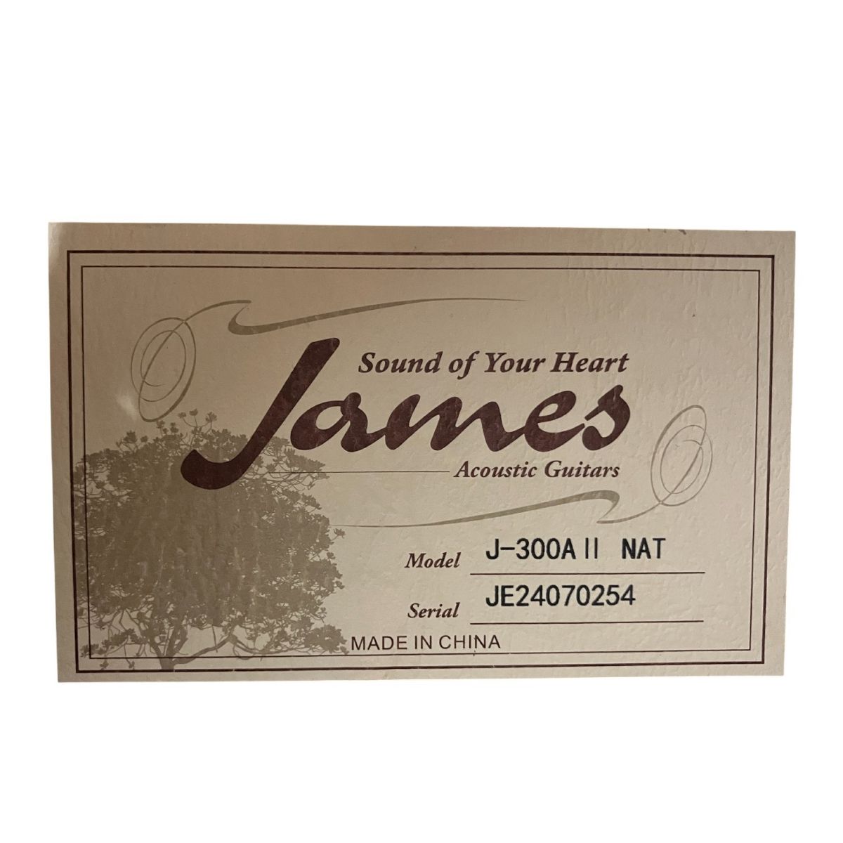 ジェームス 良好