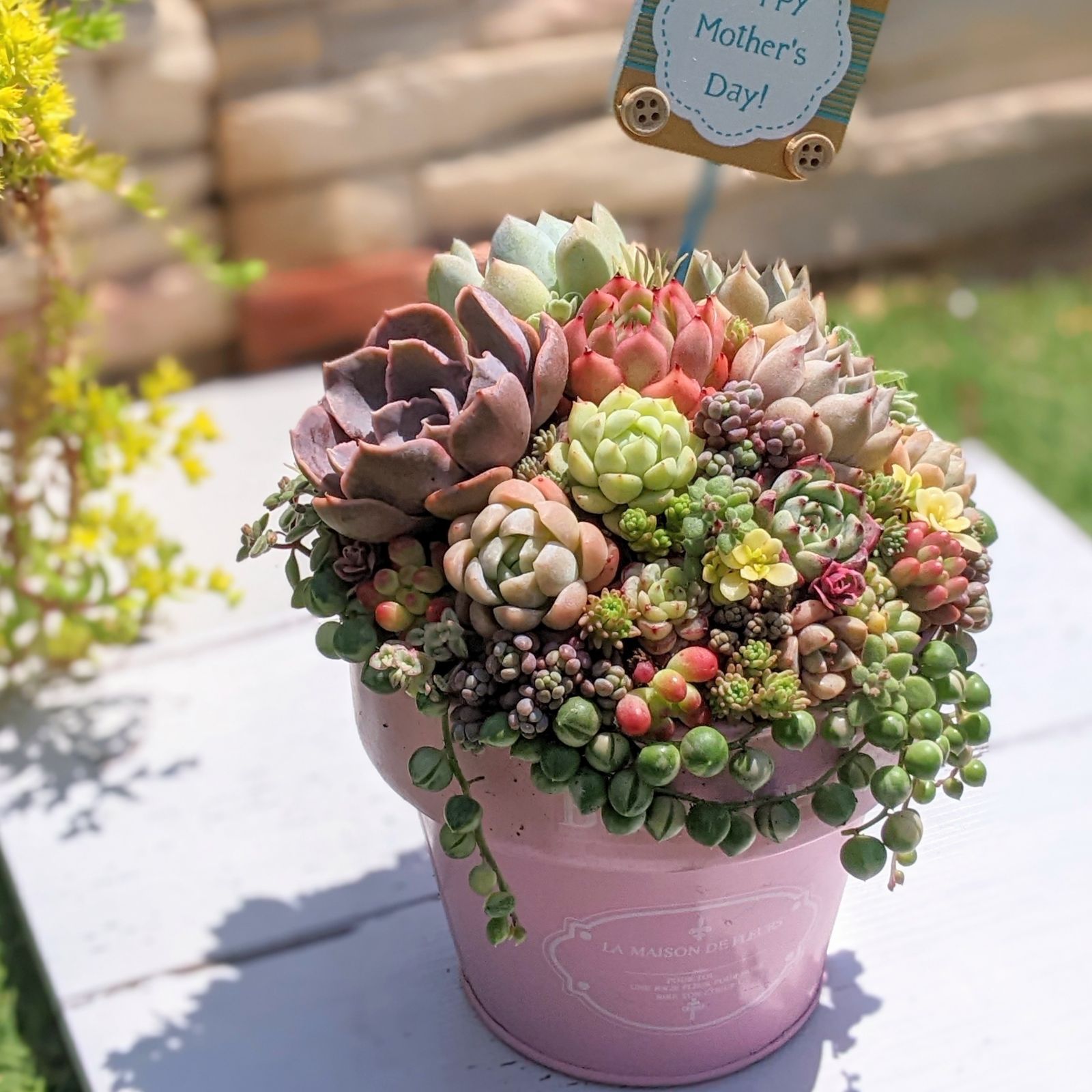 多肉植物 ♡そのまま飾れる寄せ植え♡屋根付きブリキプランター - 植物