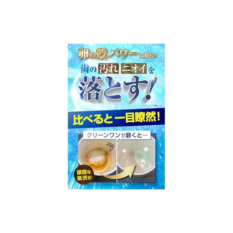 CLEAN WAN クリーンワン 犬 歯磨き ジェル 歯石取り 歯石除去