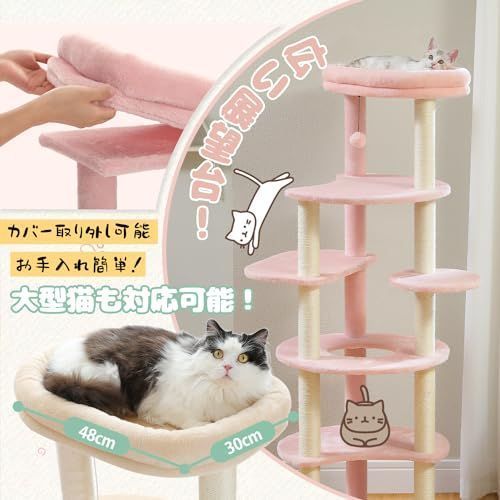 PETEPELA ぺテぺラ