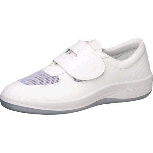 新渡戸稲造旧蔵書 蔵書印 直筆サイン 洋書 セール中