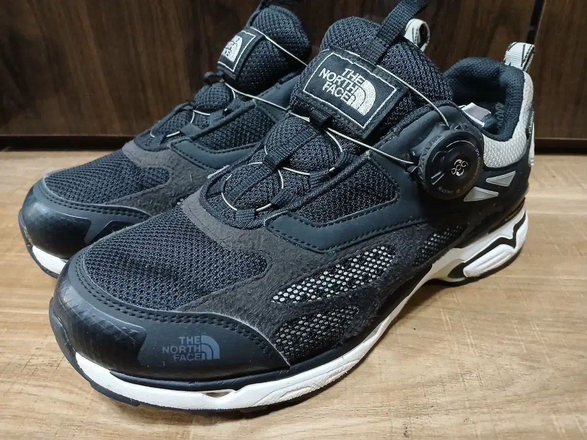 THE NORTH FACE ザノースフェイス GORE-TEX ゴアテックス 250mm