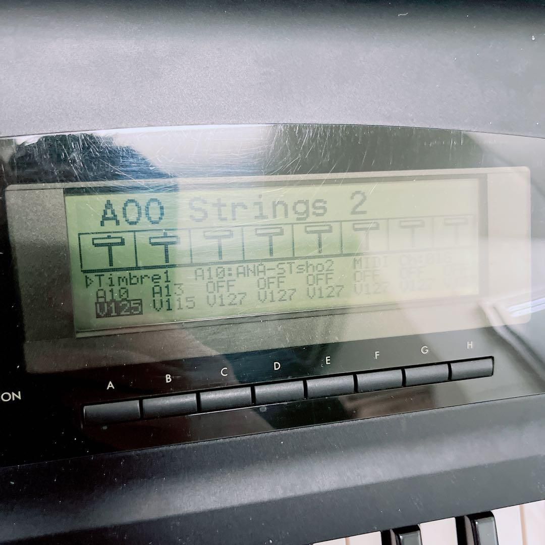 KORG シンセサイザー 01|WP pro ハードケース付き N1443