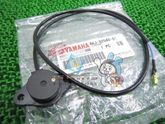 RZ50 ニュートラルスイッチ 在庫有 即納 ヤマハ 純正 新品 バイク 部品 YAMAHA TZR50R 車検 Genuine DT50